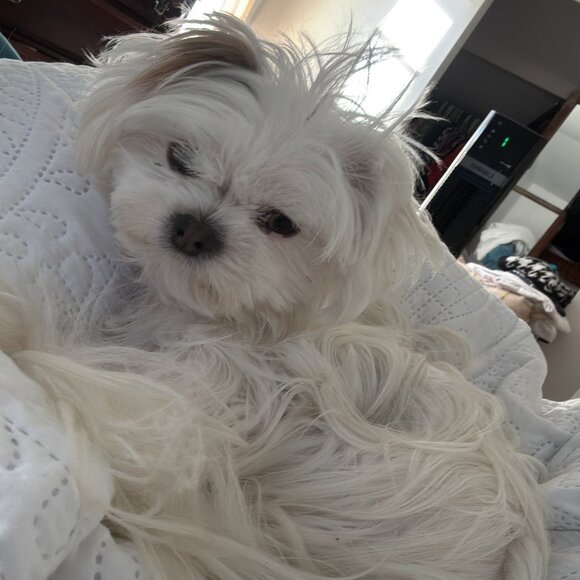 SALTY SAYS- WAKE UP LADIES and TAKE CARE OF YOURSELF - Picture 1 of 1